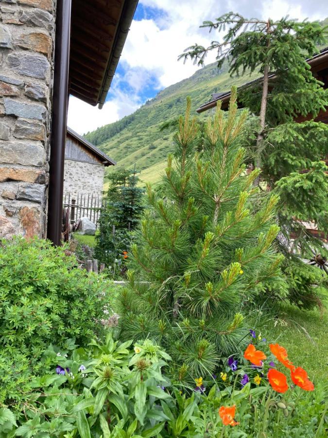 DreiHäuser Obergurgl Exterior foto